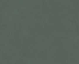 Керамогранит Kerama Marazzi DD642120R Про Чементо зеленый матовый обрезной 60x60