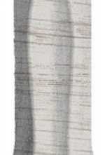 Декоративная вставка Kerama Marazzi SG5268/AGI Угол внутренний Монтиони белый матовый 8x2,4