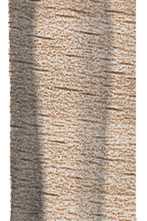 Декоративная вставка Kerama Marazzi DL5100/AGI Угол внутренний Про Вуд бежевый светлый 8x2.4