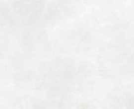 Керамогранит Laminam LAMF009187_IT Calce Bianco R10 1620x3240x20