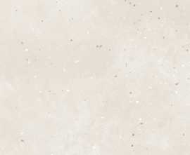 Керамогранит Grasaro G-41/MR Granella Light Beige 600x600x9