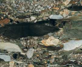 Керамогранит Rex Ceramiche 765787 Les Bijoux De Rex Quatre Saisons Glossy 6mm 60x120
