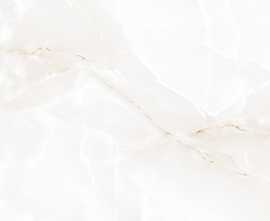 Керамогранит Absolut Gres AB1021G Onix Mapple gloss 600x600