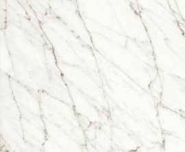 Керамогранит Naxos 120125 WHITE FUN NATURALE+RETTIFICATO 60x120
