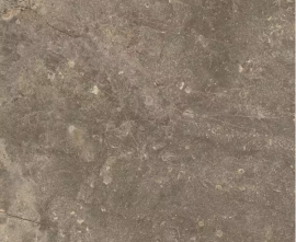 Керамогранит Coliseumgres 610010001441 Червиния Земля 45x45