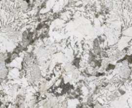 Керамогранит Moreroom Stone MN291AP321606 Pulm Blossom Polished 6mm 160x320