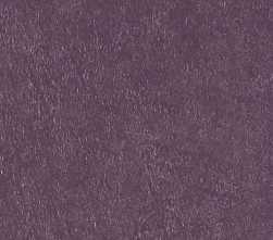 Керамогранит Simpolo Ceramics Scs Spectra Wine Glossy 5,8х25