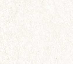 Керамогранит Simpolo Ceramics Scs Spectra Salt Glossy 5,8х25