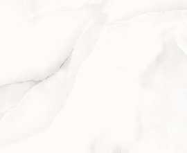 Керамогранит Alpas Cera Floria Onyx Silver Polished 60x120