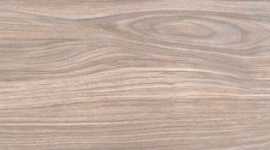 Керамогранит PrimaVera WD11 Forest Gold terra 20x80