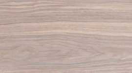 Керамогранит PrimaVera WD09 Forest Crema 20x80