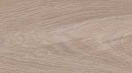 Керамогранит PrimaVera WD06 Branch Taupe 20x80