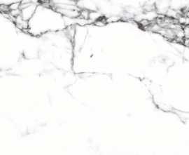Керамогранит PrimaVera CR103 Blanco Tranco carving 600х600х9