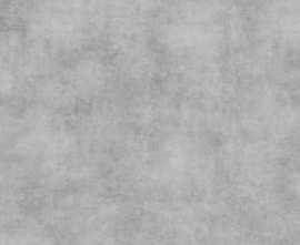 Керамогранит Prime Ceramics Beton Grey PG RT 59.5x59.5