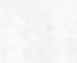 Керамогранит NB Ceramic M 1301 White Marble 60x60
