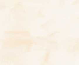 Керамогранит NB Ceramic P 2127 Elegance 60x120