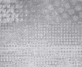 Idalgo Granite Stone OXIDO Decor Grey Light / Гранит Стоун ОКСИДО Декор Светло-серый LLR 120x60