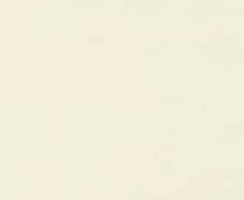 Керамогранит Nanogress Morandi N Beige M 90x180