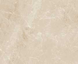 Керамогранит Foshan Vipo JA6039OM Marbles 60x60