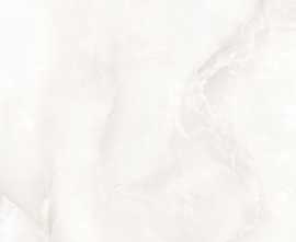 Керамогранит Evolution Ceramic FOS6060 Florida Onyx Silver Glossy 60х60