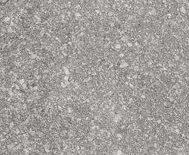 Керамогранит VIVES Aston Bolney Gris 14x28