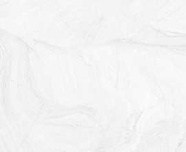 Керамогранит Gayafores Varana Blanco 45х45
