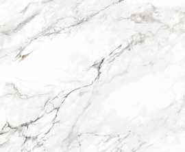 Керамогранит Basconi Home BHK-4005 Federica Shape Ink 120x300