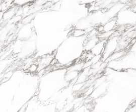 Керамогранит StaroSlabs Arabescato Oscuro Elegance Polished 120х120