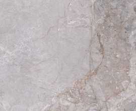 Керамогранит ZERDE TILE Fior Di bosco Grey 60x60