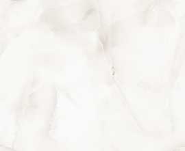Керамогранит AVS Tronco White полированный 600x1200