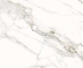 Керамогранит ZERDE TILE CA0H00M01 Carrara white 600x600