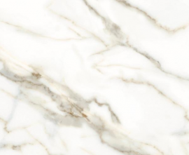 Керамогранит ZERDE TILE Carrara white 60x120