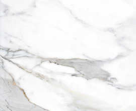 Керамогранит ZERDE TILE Stefano White 60x60