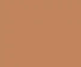 Керамогранит Fioranesе IL20TER Italian Landscape Terracotta 20.5x20.5