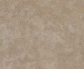 Керамогранит Maimoon Ceramica Outdoor Core Mushroom 60x60