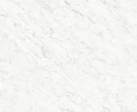 Керамогранит Ariostea PK612555 Bianco Carrara Levigato Silk ret 60x120