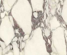 Керамогранит Ariostea PL612671 Calacatta Viola Luc 60x120