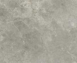 Керамогранит Ariostea PL612574 Fior Di Bosco Lucidato ret 60x120