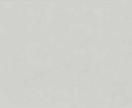 Керамогранит Ariana Ceramica FLORALIA NEIGE 60x120