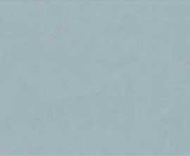 Керамогранит Ariana Ceramica FLORALIA BLEUET 60x120