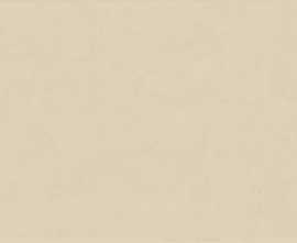 Керамогранит Ariana Ceramica FLORALIA BEIGE 60x120
