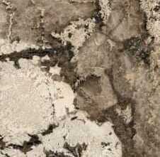 Керамогранит Rex Ceramiche 775047 Heritage Luxe Flame Comfort 9mm 60x120