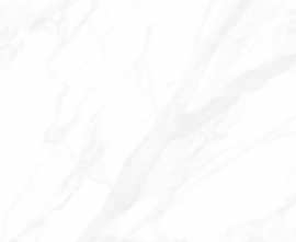 Керамогранит ZERDE TILE SW0H00M05 Subway Base White 60х60