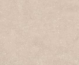 Керамогранит Casalgrande Padana Stile Pale Nat 60x120