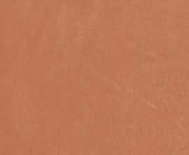 Керамогранит Ape A037678 Argillae Coral Rect R10 60х60