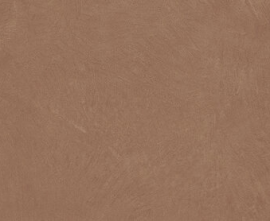 Керамогранит Ape A037667 Argillae Terra Rect R10 60х120