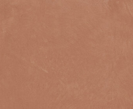Керамогранит Ape A037668 Argillae Coral Rect R10 60х120