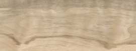 Керамогранит Pamesa 074.922.0119.13262 Walnut Sand 20x120