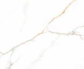 Керамогранит LV Granito Austrain Natural Glossy 600x600