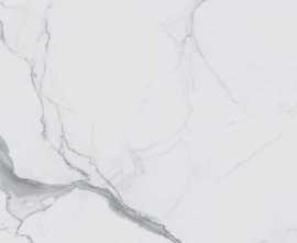 Керамогранит Rex Ceramiche 746592 I Classici Statuario Glossy Rett 60x120